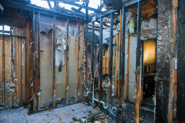 Professional Fire Damage Repair technician working in Gilcrest, CO